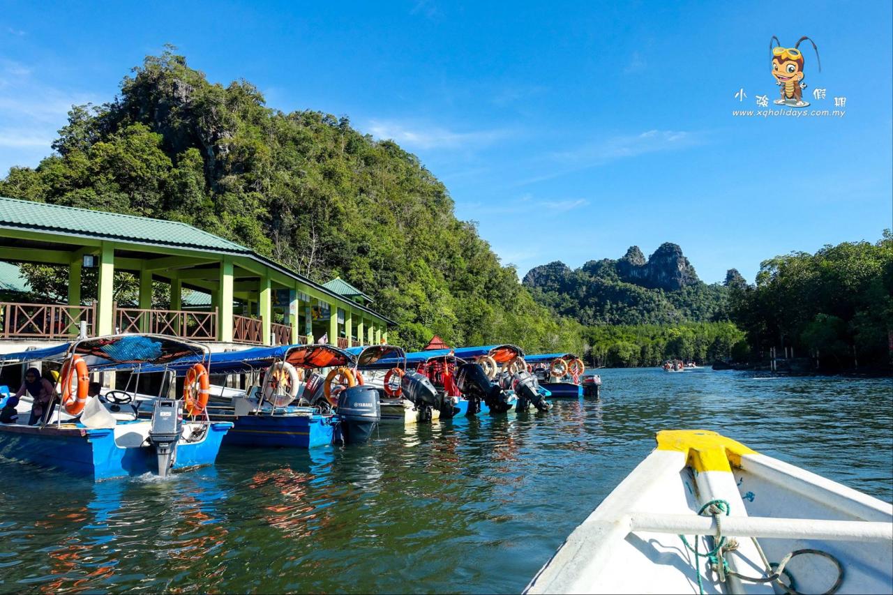 Jelajahi Hutan Bakau Langkawi dengan Mangrove Tour yang Menakjubkan